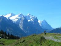 Klik op de foto voor groter formaat